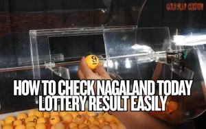 How to Check Nagaland Today Lottery Result Easily 5 nagaland today lottery result